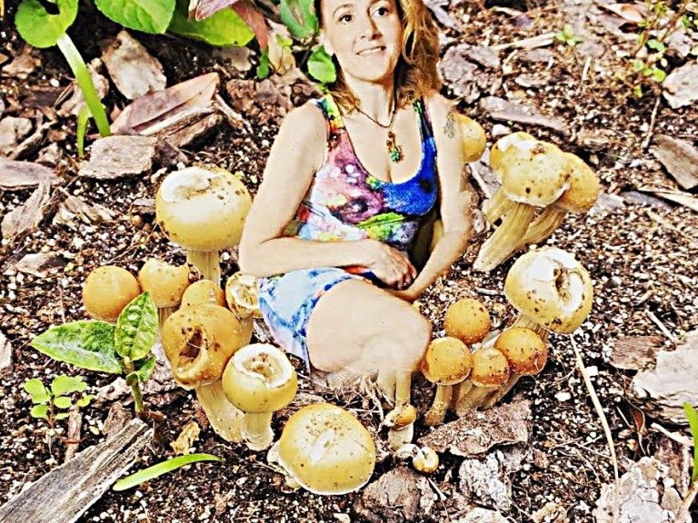 Mel mushrooms